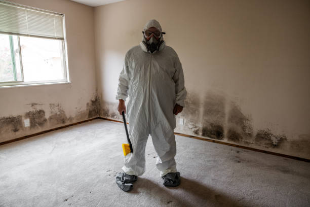 Professional Mold Remediation in Fall River, MA